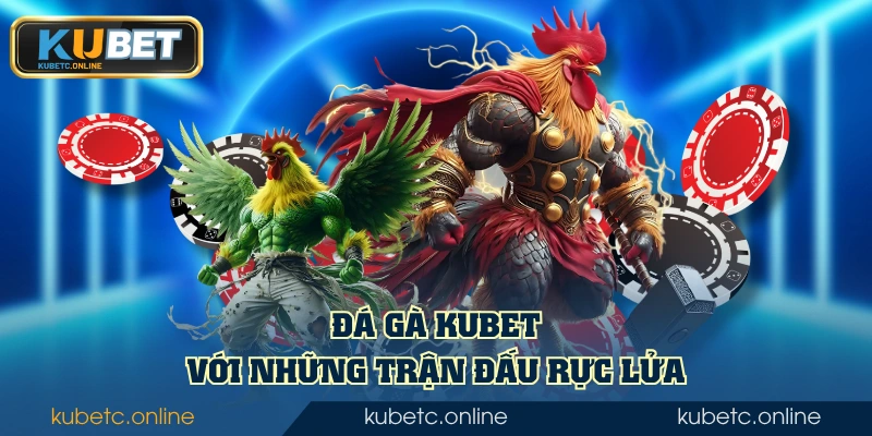 Kubet 51 Đá Gà KUBET với những trận đấu rực lửa
